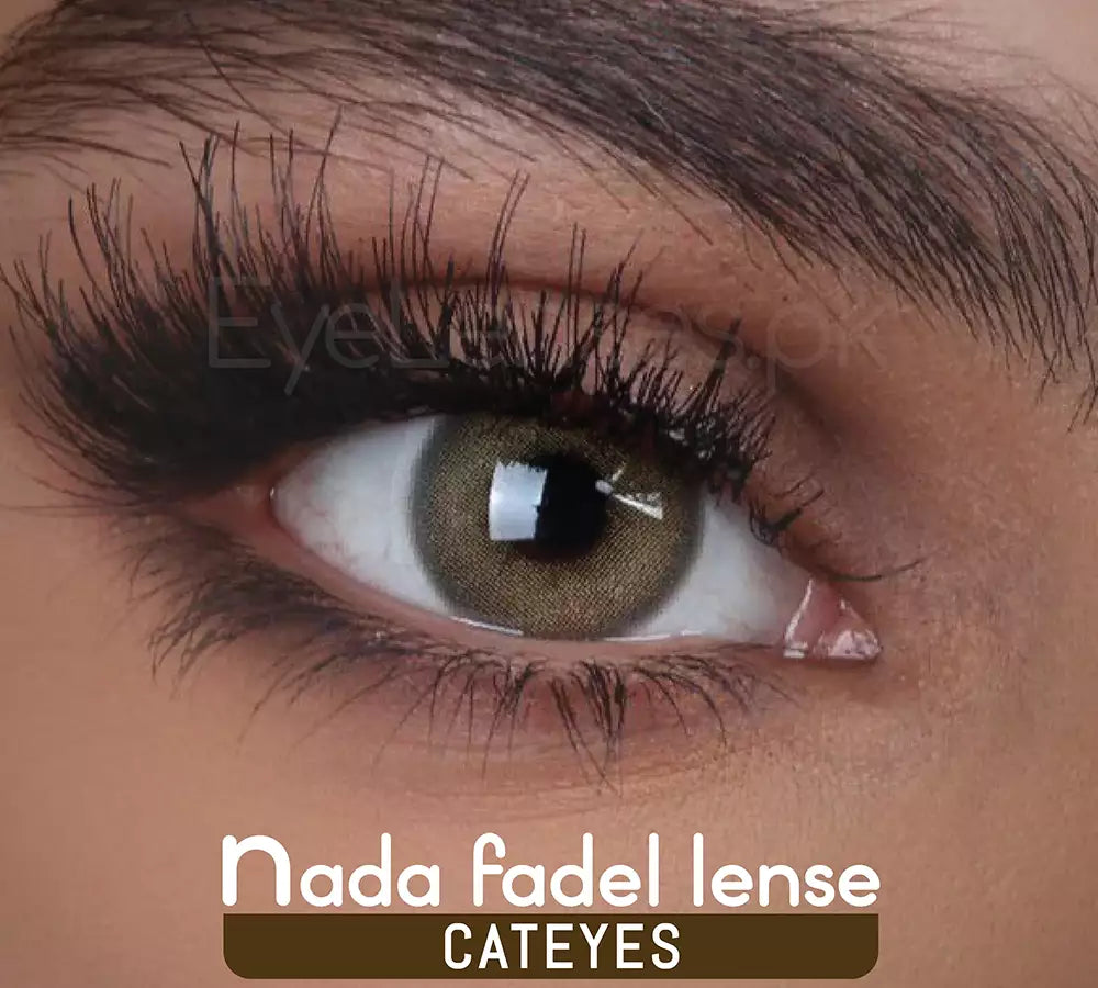 Cateyes – Nada Fadel Lense