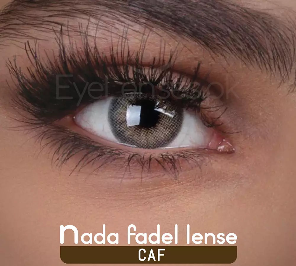 CAF – Nada Fadel Lense