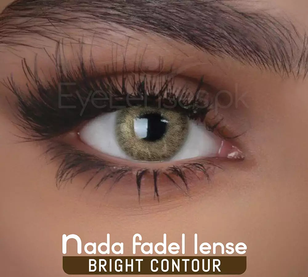 Bright Contour – Nada Fadel Lense
