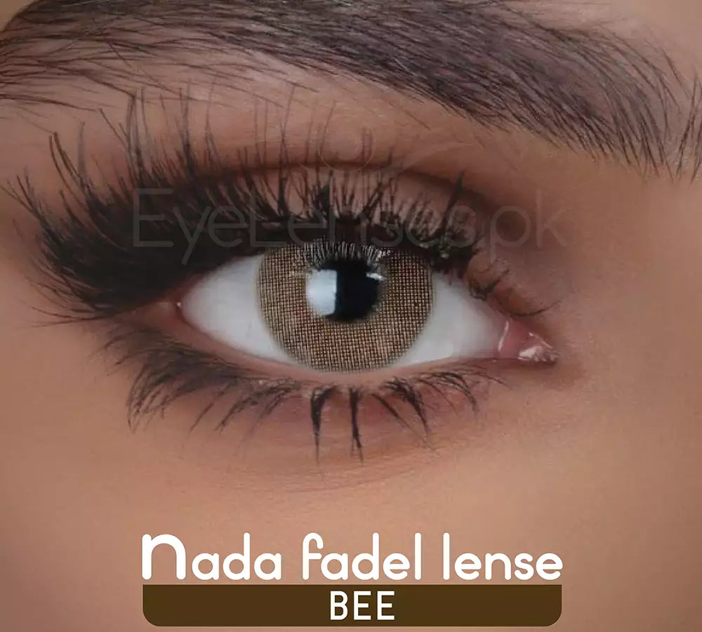 Bee – Nada Fadel Lense