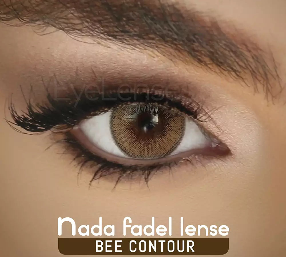 Bee Contour – Nada Fadel Lense