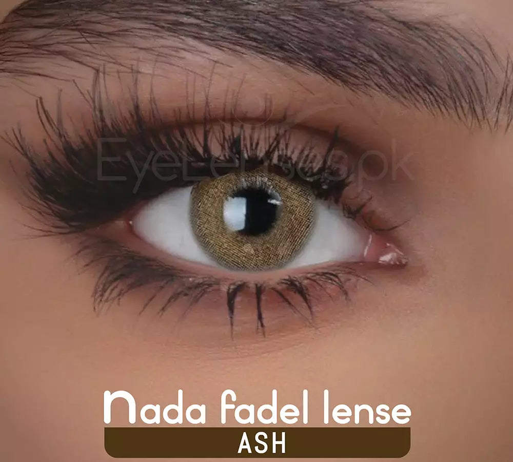 Ash – Nada Fadel Lense
