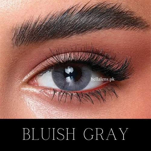 bella Bluish gray oneday