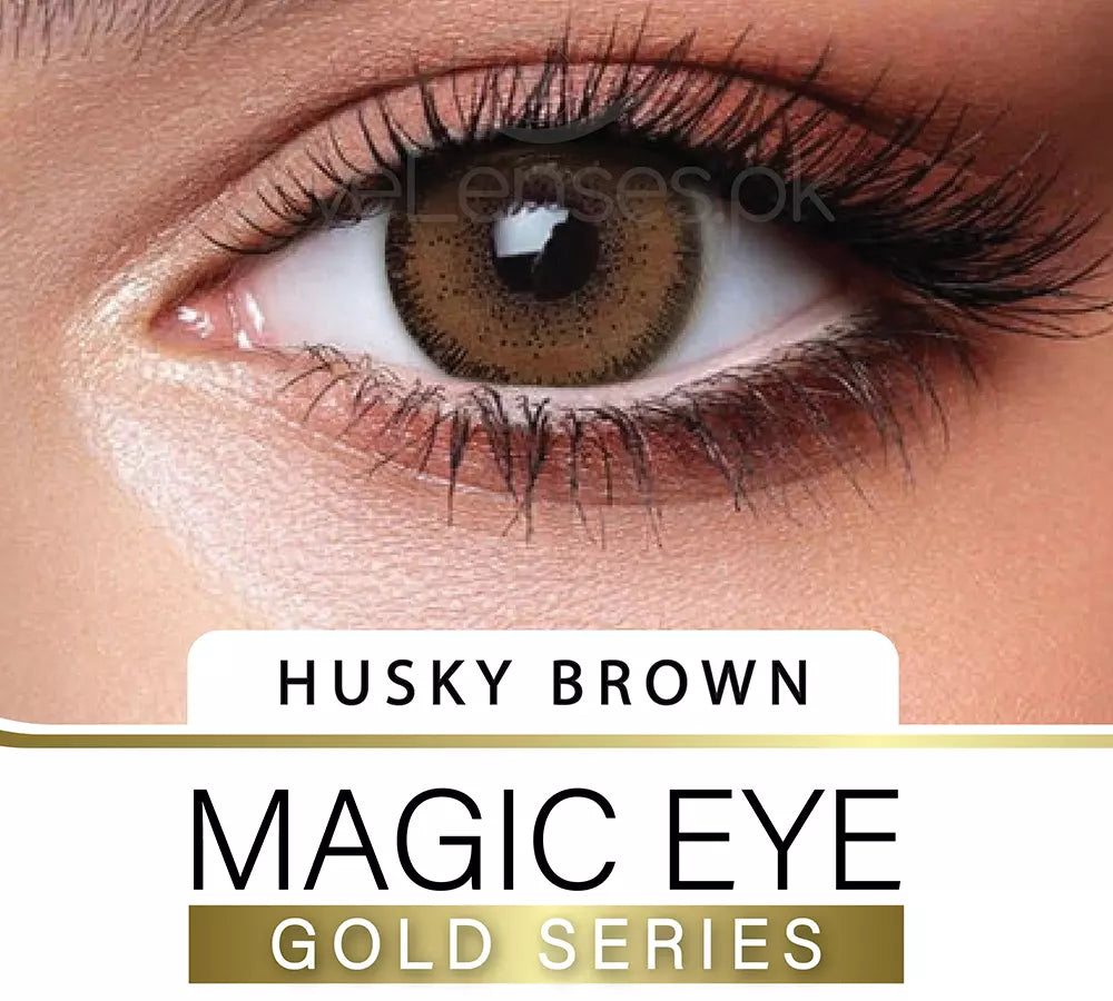 Husky Brown Gold Series – Magic Eye