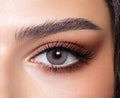 Amber Grey Elite Collection – Bella