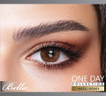Hazel Honey One Day Collection – Bella