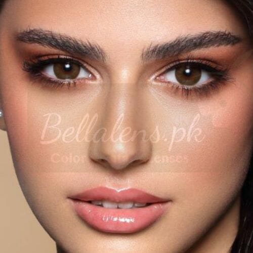 Brown Shadow (2)