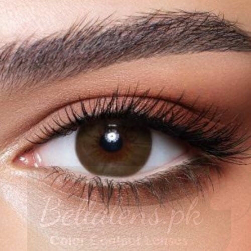 Bella Brown Shadow lenses