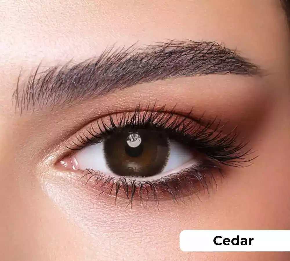 BELLA ONE DAY-MIX 5 COLORS BOX