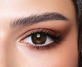 Cedar One Day Collection – Bella