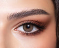 Green Olive Elite Collection – Bella