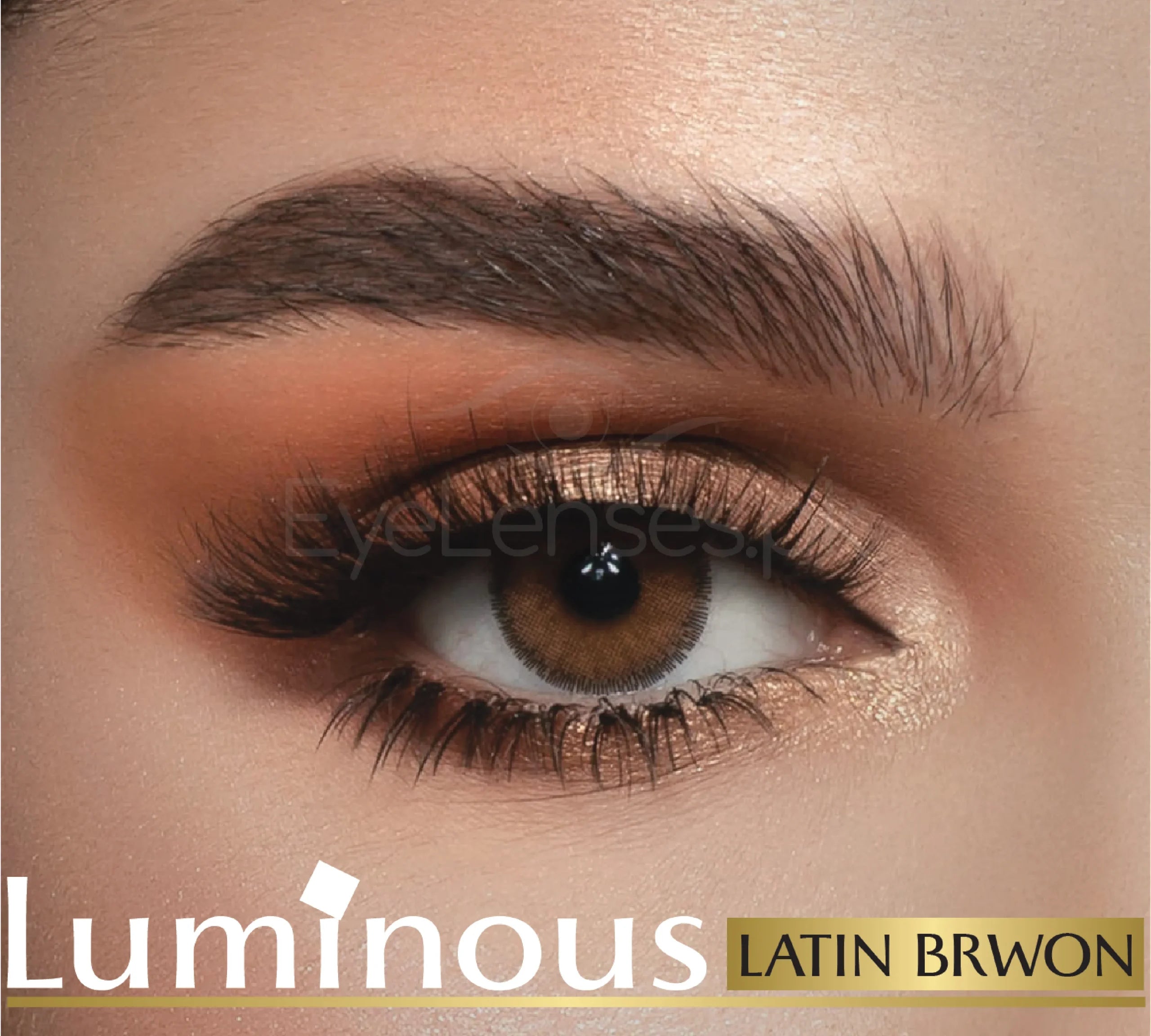 Latin Brown – Luminous Lenses