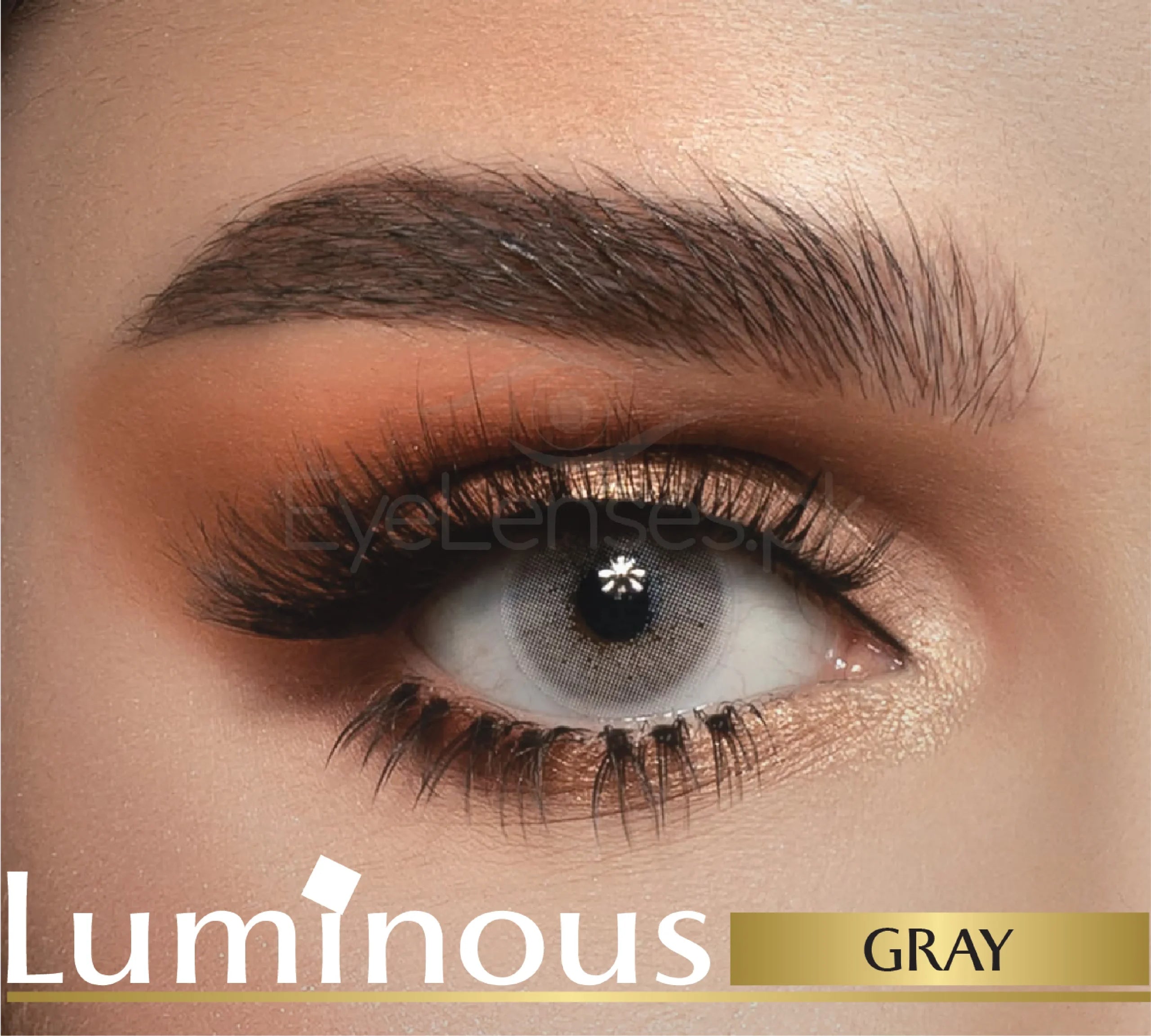 Gray- Luminous Lenses