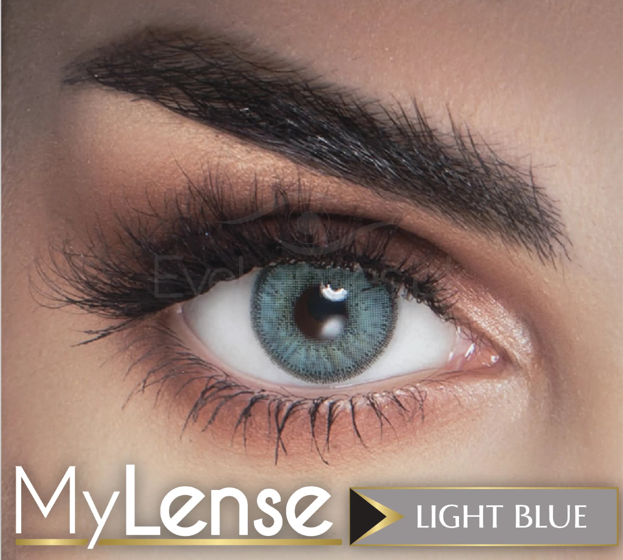 Light Blue – My Lense