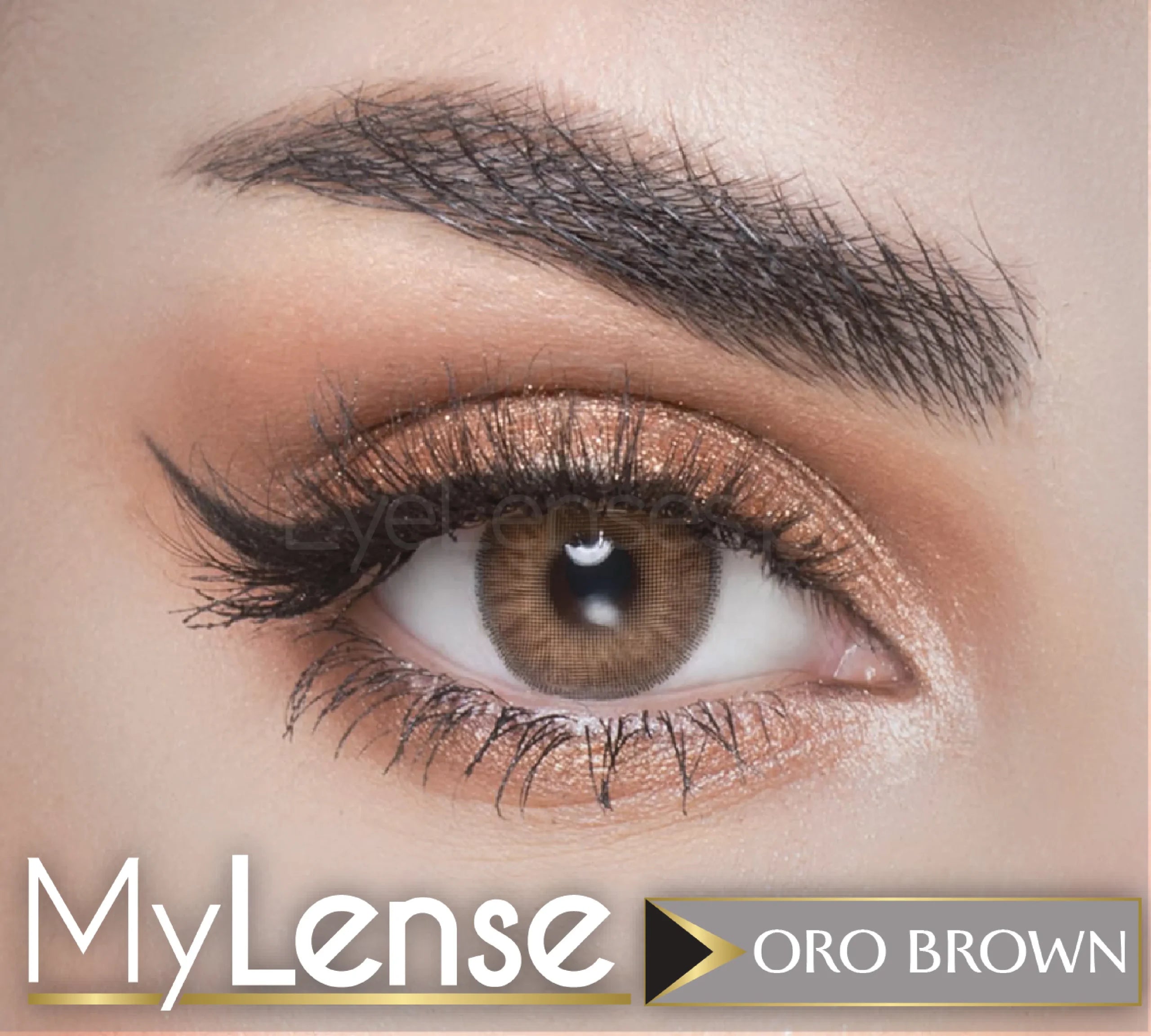 Oro Brown- My Lense