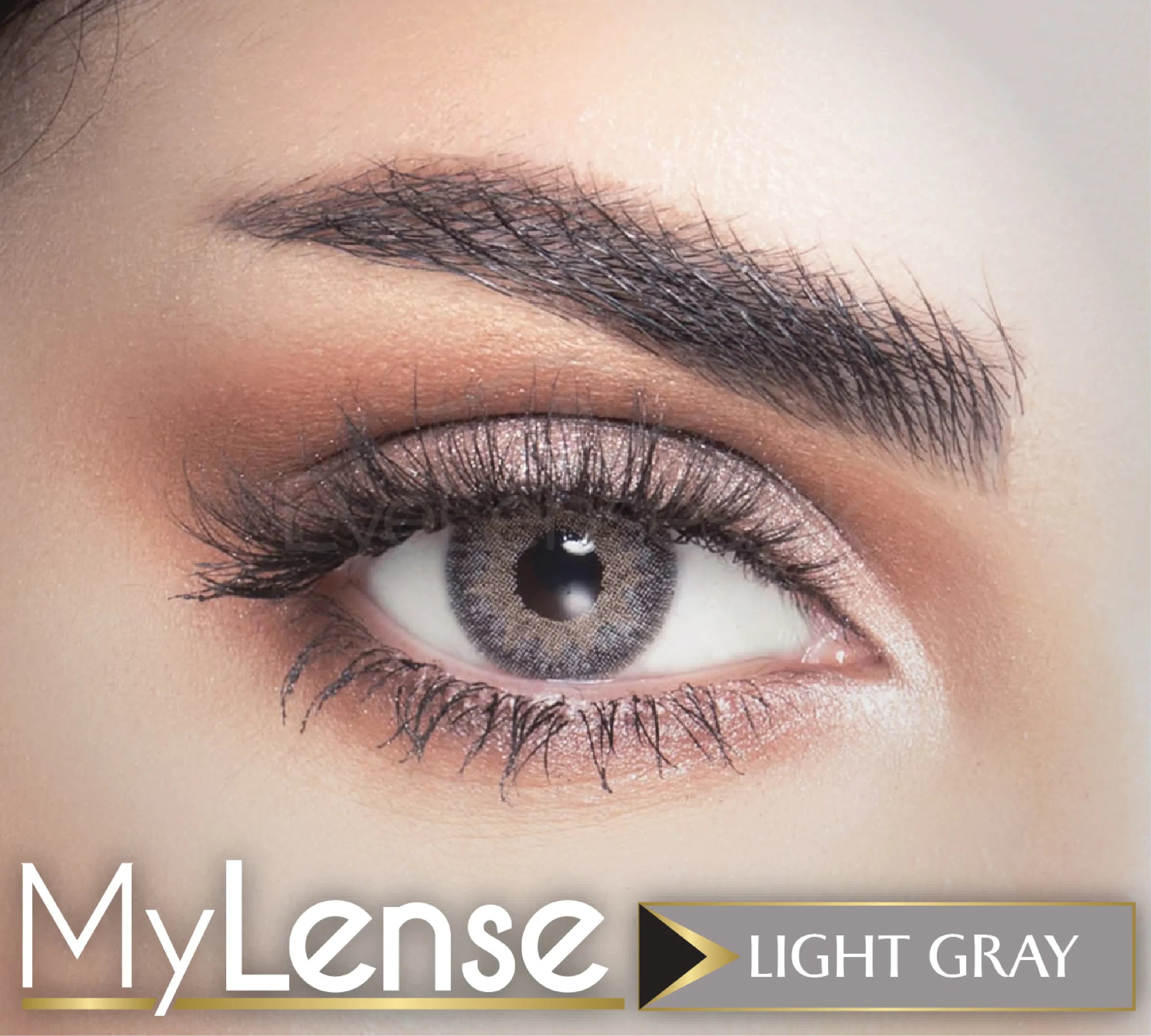Light Gray- My Lense