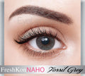 Fossil Grey Naho One day – Freshkon