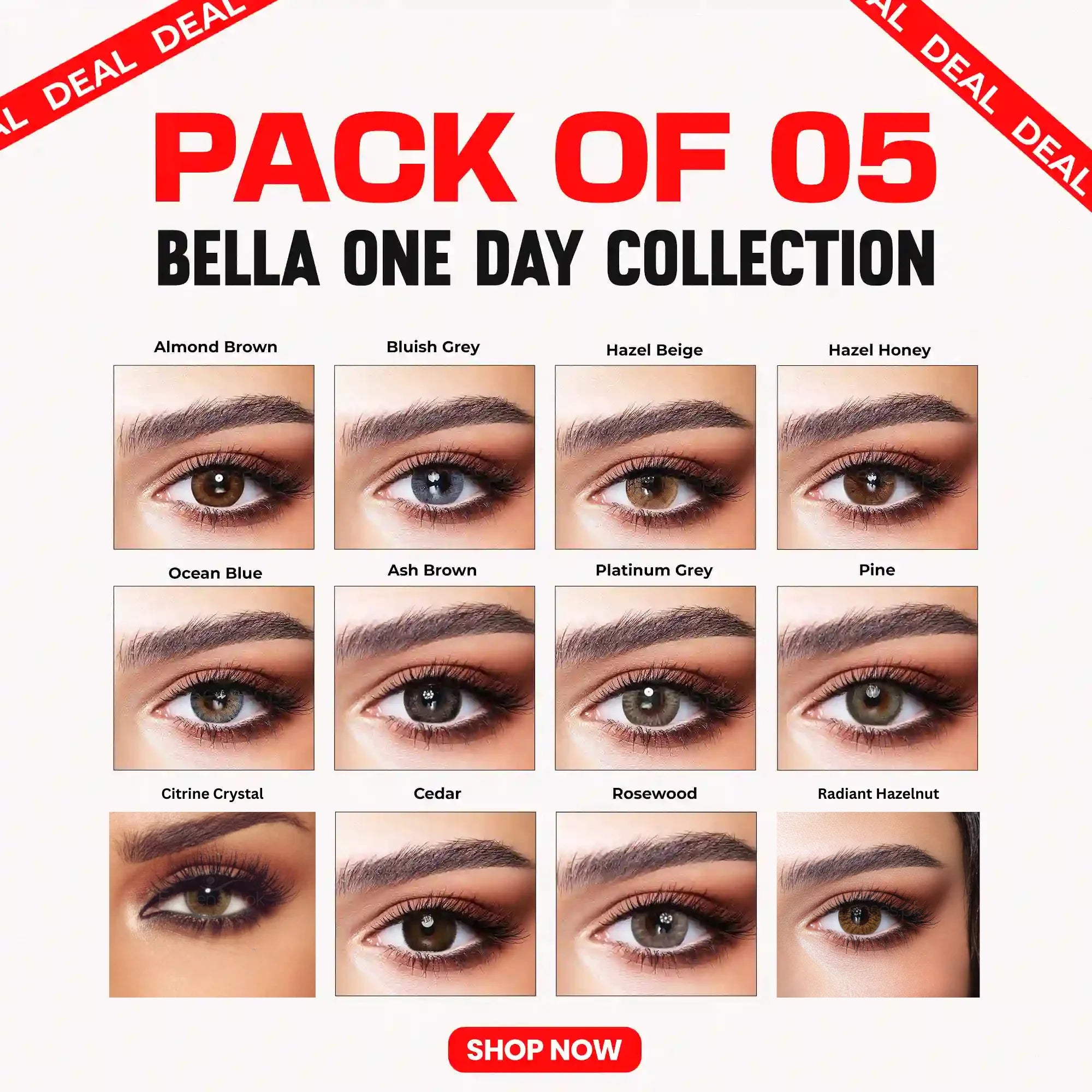 Bella 1 Day Collection – Five Pairs