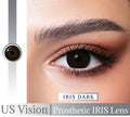 Dark Brown Prosthetic/IRIS Lens Us Vision for Damage eye