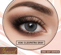 Cleopatra Gray One Day Series – Venicol