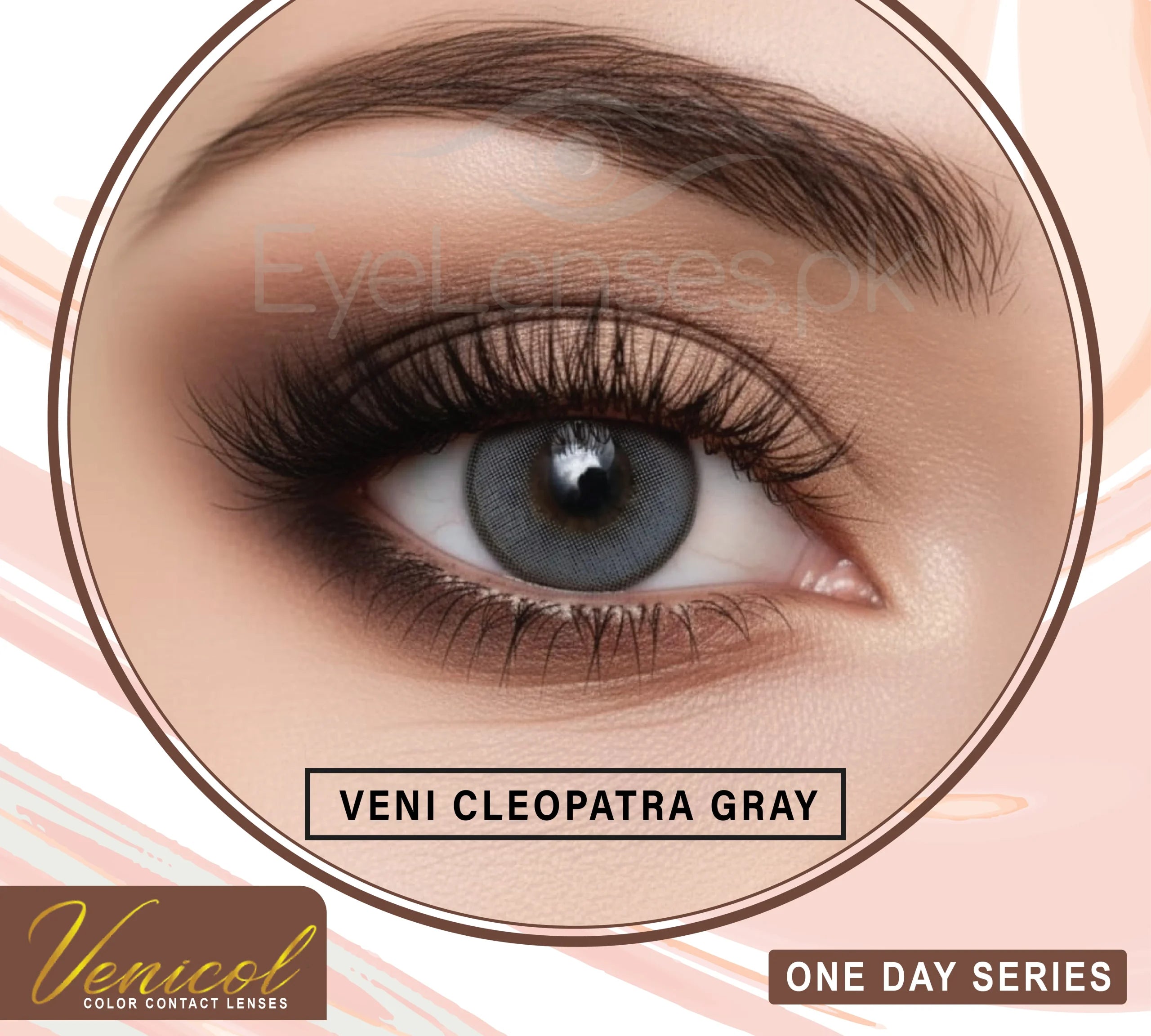 Cleopatra Gray One Day Series – Venicol