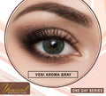 Aroma Gray One Day Series – Venicol