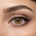 Veni Bassia Brown VC-01