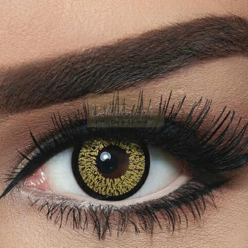 Buy Bella Gold Contact Lenses in Pakistan - Highlight Collection - Bellalens.pk