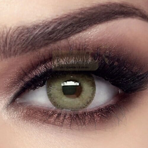 Buy Bella Elite Gray Olive Contact Lenses in Pakistan - Elite Collection - Bellalens.pk