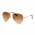 Classic Aviator Sunglasses gold frame