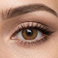 Veni Brown Color Contact Lenses - VC-11