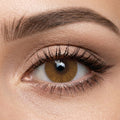 Veni Ocre Color Contact Lens - VC-17