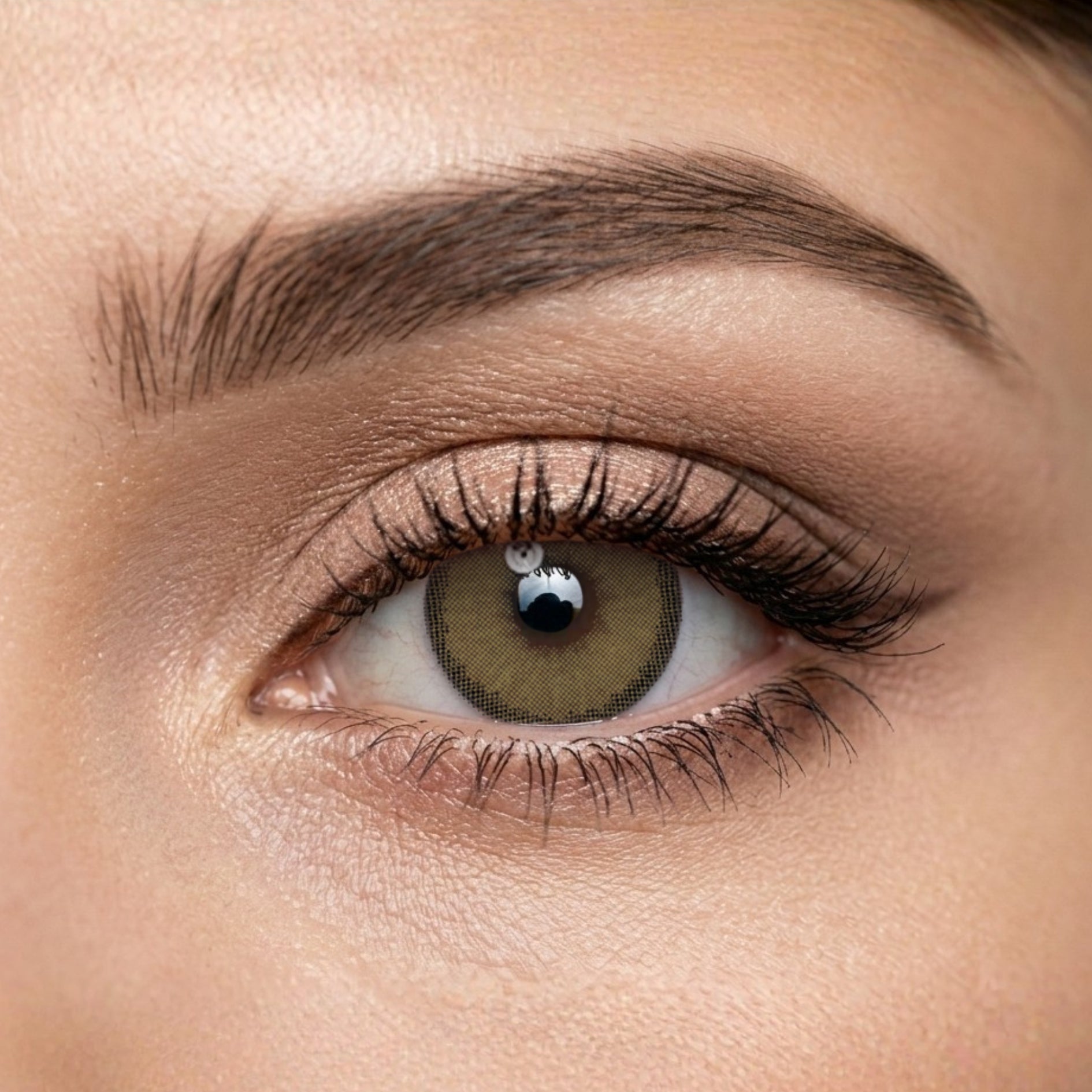 Veni Cortado Colored Contact Lens - VC-27