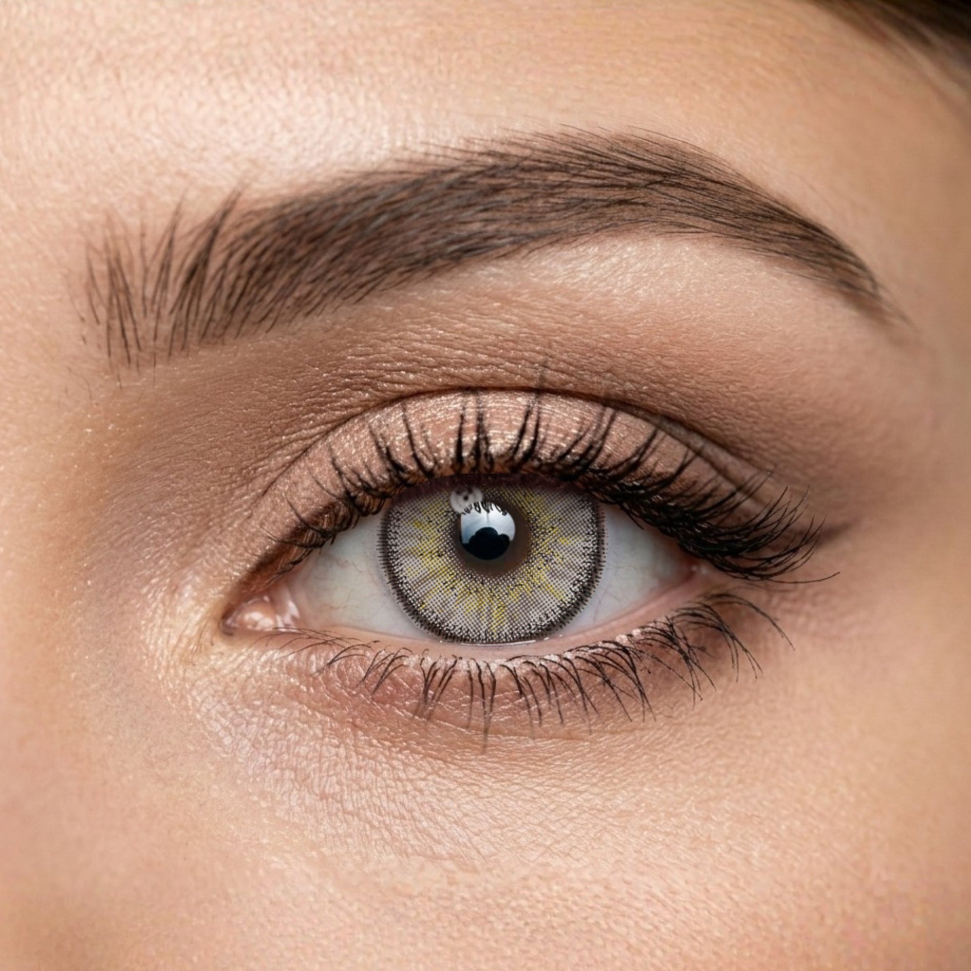 Veni Polaris Colored Contact Lens - VC-29