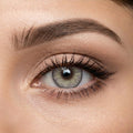 Veni Sugar Gray Colored Contact Lens - VC-23