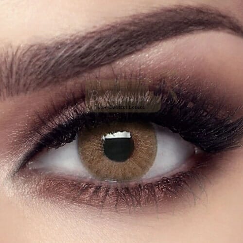 Buy Bella Elite Wild Honey Contact Lenses in Pakistan - Elite Collection - Bellalens.pk